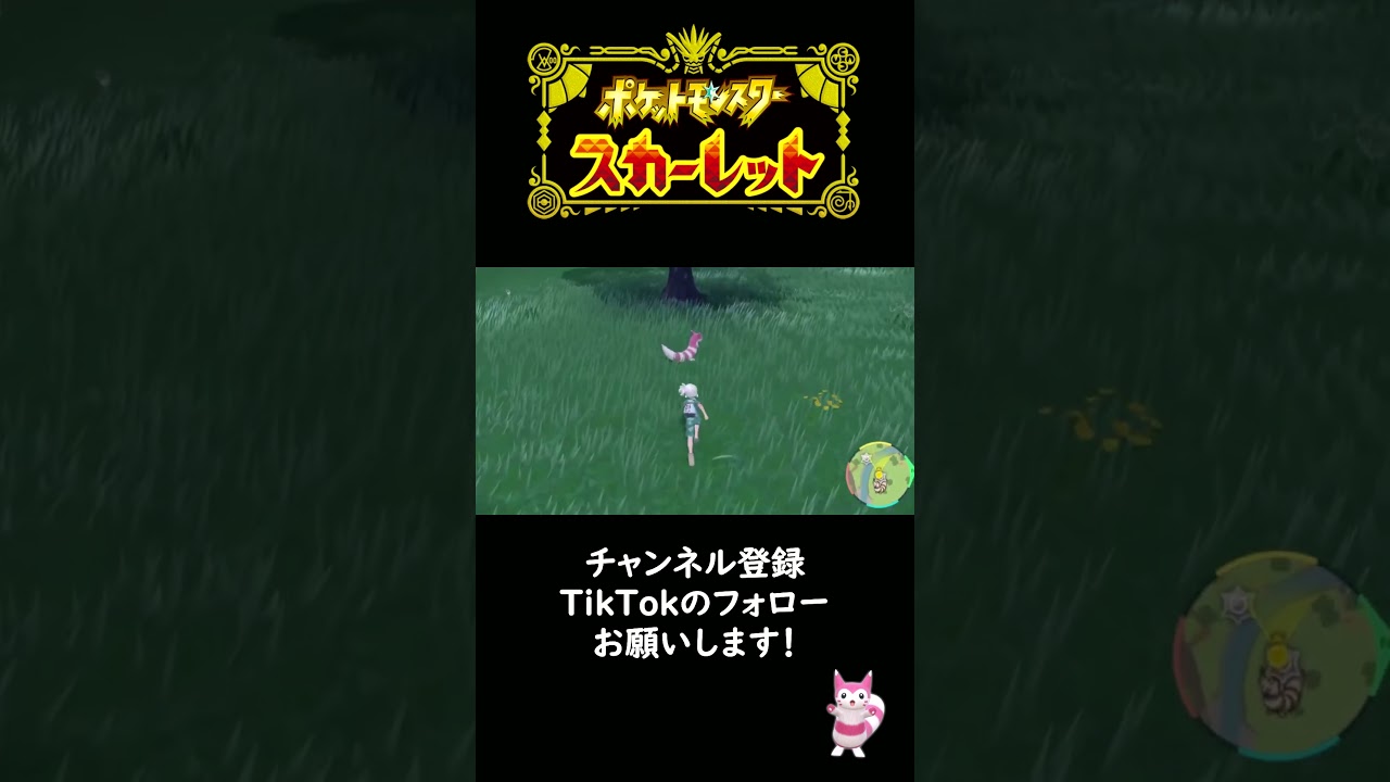 オオタチの色違いを出してしまう男　【ポケモンSV】　【碧の仮面】