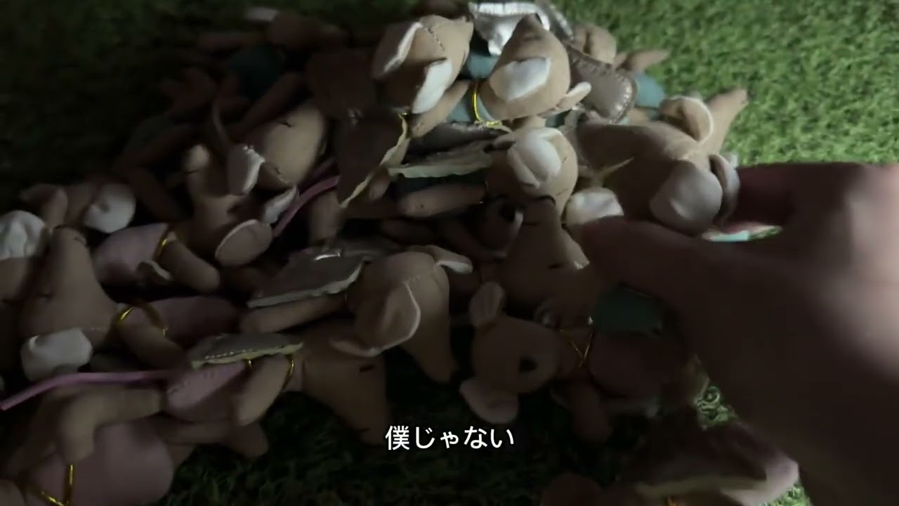 チェリムとグリム　どこにいるの