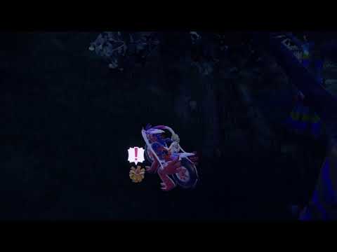 クヌギダマ　色違い