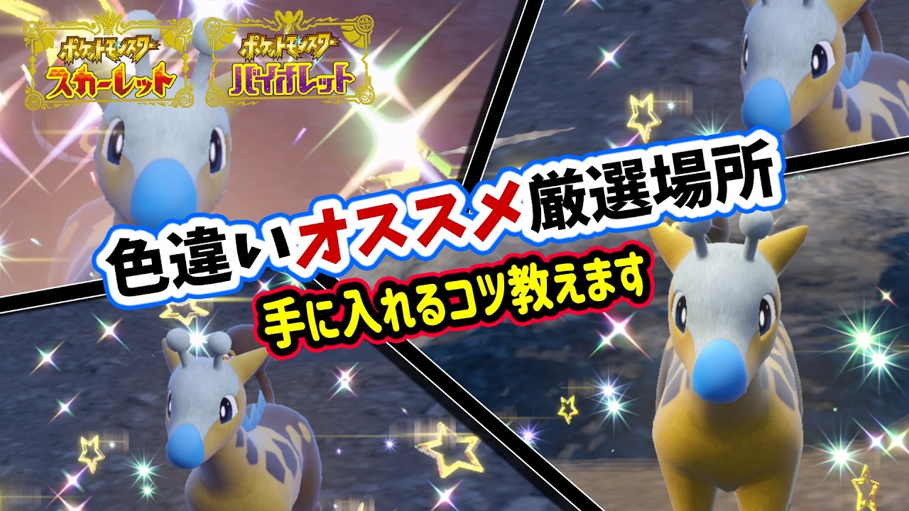 【ポケモンSV】ブルーベリー学園で色違いオススメ厳選場所！大量発生で色違いキリンリキ＆リキキリン手に入れるコツ教えます！ポケモンスカーレットバイオレット