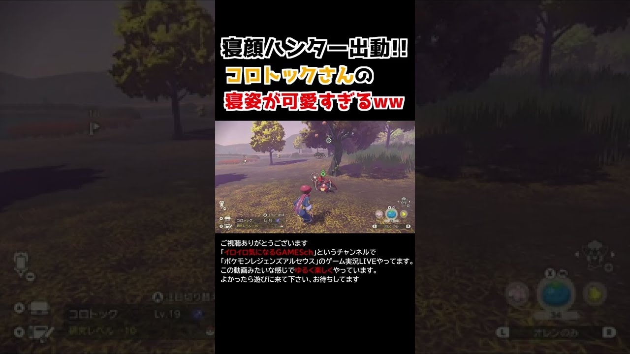コロトックさんの「寝姿」が可愛すぎるww【Pokémon LEGENDS アルセウス】【寝顔ハンター】