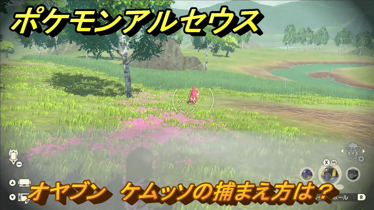 ポケモンアルセウス　オヤブン　ケムッソの捕まえ方は？出現場所は？　＃５７２　【Pokémon LEGENDS アルセウス】