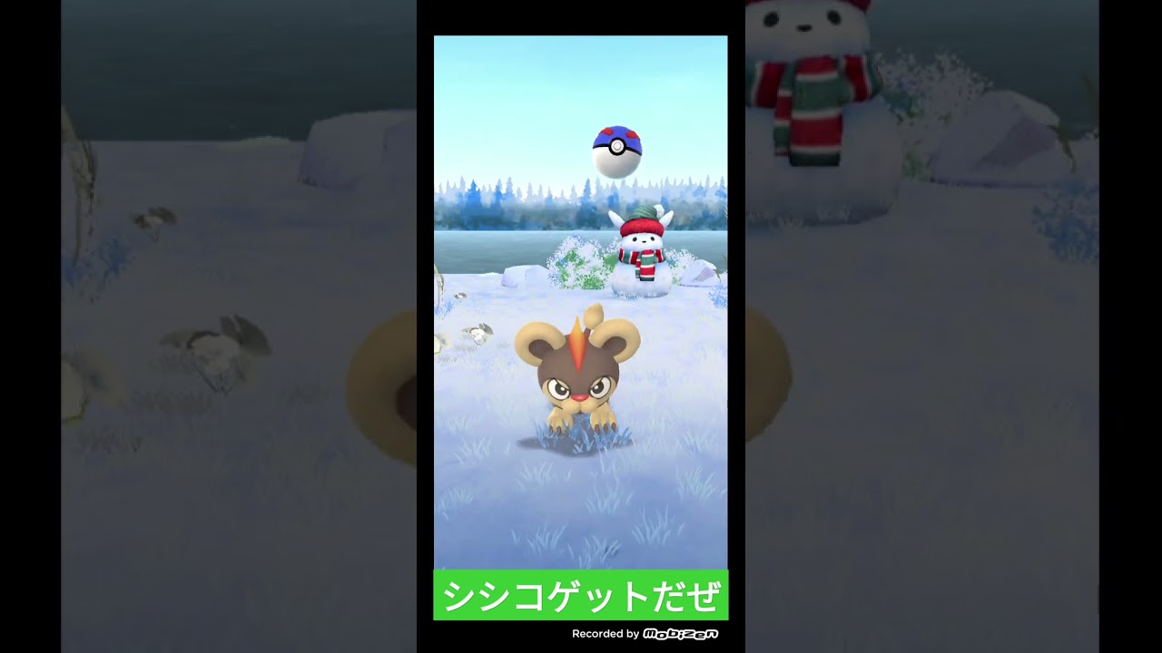 ポケモンGO実況☺シシコゲットだぜ❤️‍🔥シシコに勝負を挑んでみた🌟 #ポケモンgo #shorts #ショート