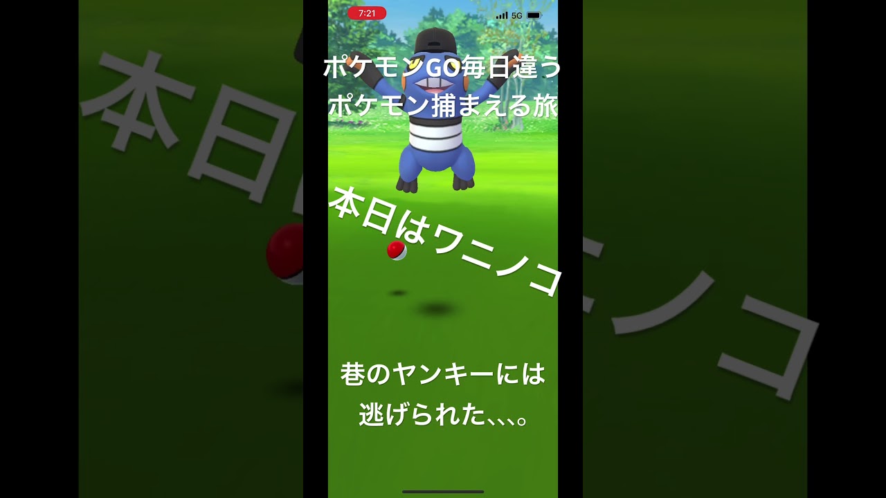 ポケモンGO毎日違うポケモン捕まえる旅 本日はワニノコ #ポケモン #ポケモンgo