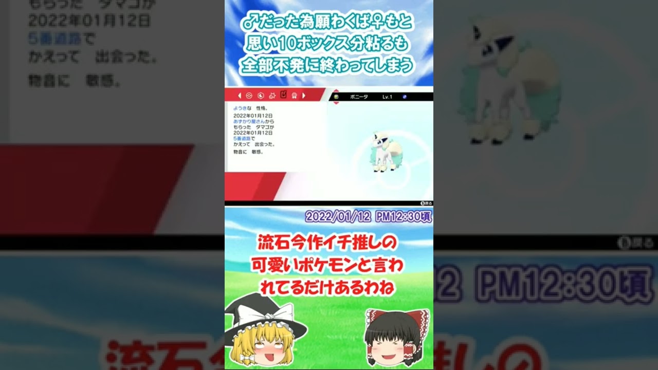 【ポケモン剣盾】色違い粘り#9 トニカクカワイイ　色違いポニータ【ゆっくり実況】