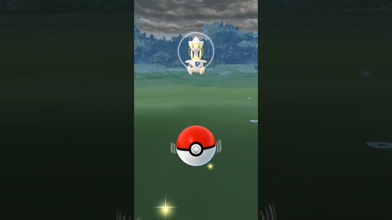 【しあわせポケモン】色違いトゲチックの個体値に"幸"は…😇ポケモンGO/コミュニティ・デイ/#shorts