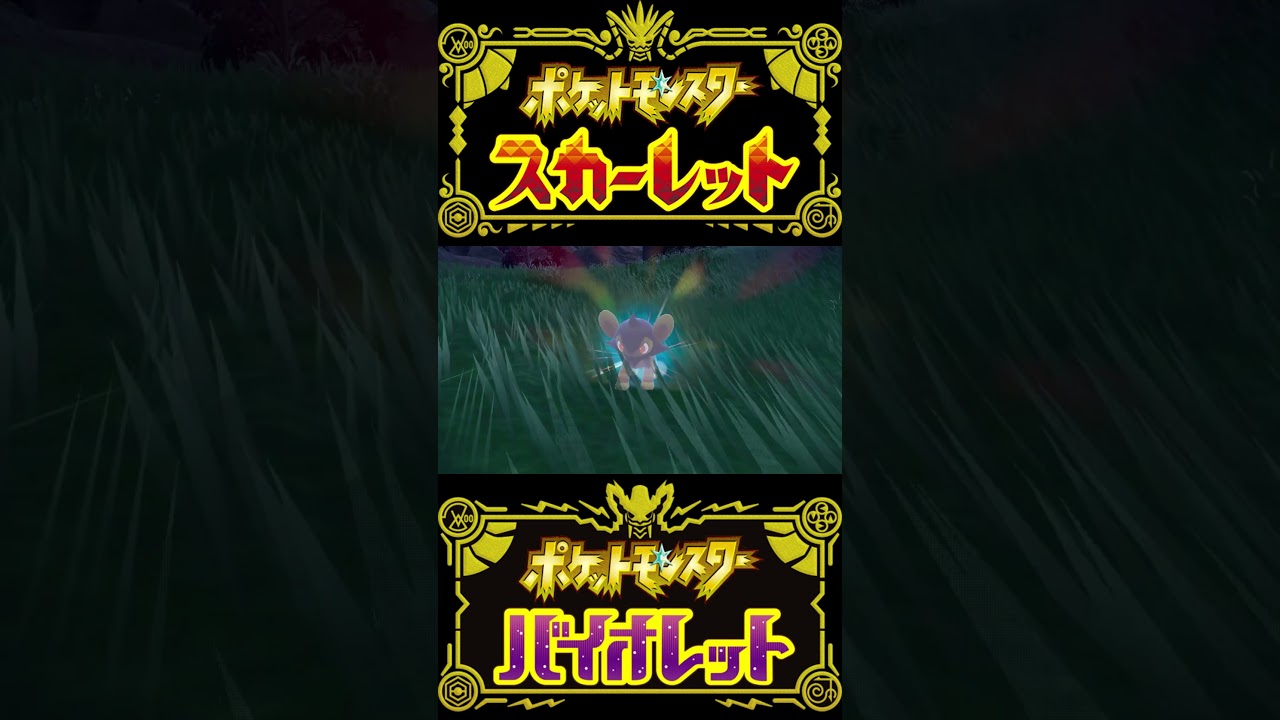 【ポケモンSV】スピボ入り色違いコリンク/ルクシオ/レントラー #short