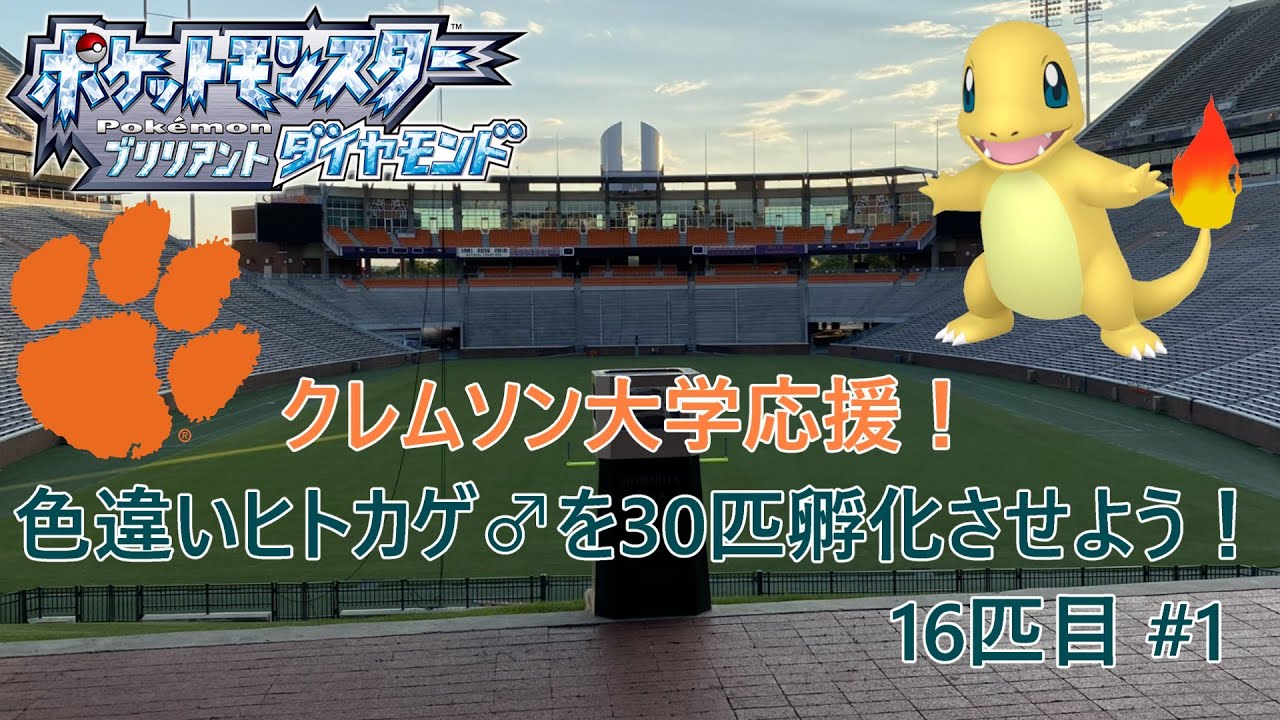 【ポケモンBDSP】クレムソン大学応援！色違いヒトカゲ♂を30匹孵化させよう！【色違い】 16匹目 #1 #Clemson