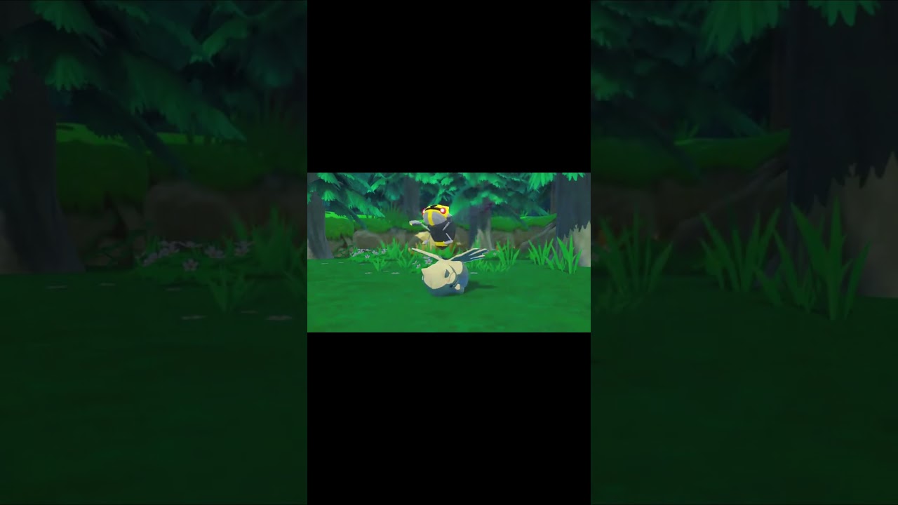 The Evolution of Nincada