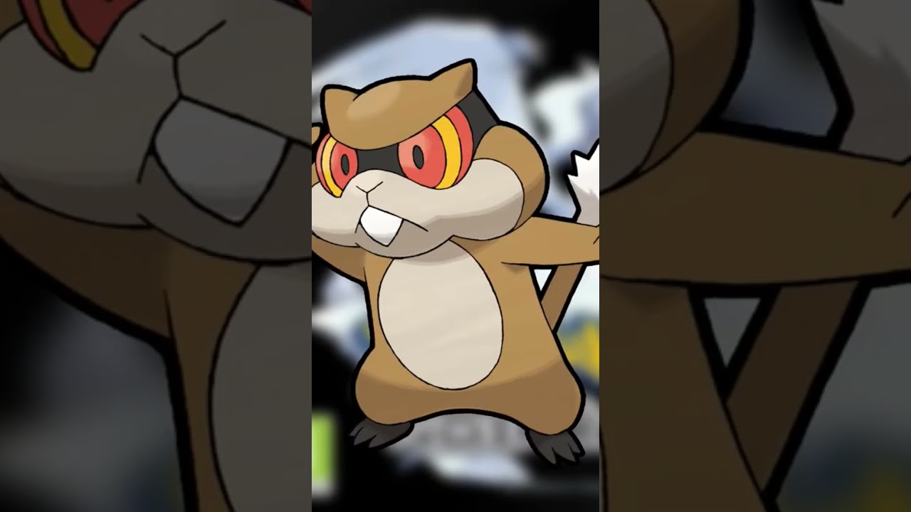 504 - Ratentif - Pokémon Noir #Pokémon  #Pokédex #AttrapezLesTous #ShinyHunting #PokémonLore