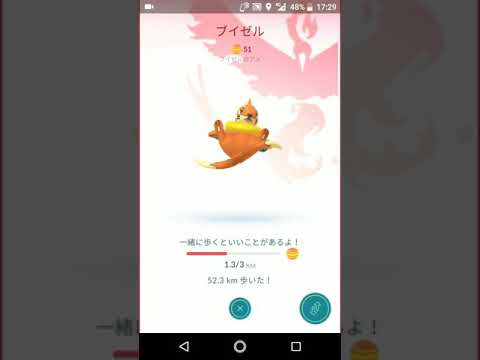ポケモンGO「しっぽを回す相棒！ブイゼルからフローゼルへ進化」