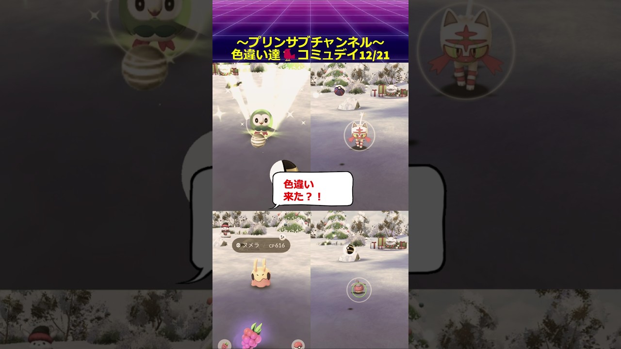 🐲色違い🐦アマカジ・ニャビー・ヌベラ・モクロー コミュデイ 12/21 ポケモンgo with 魔法使いの夜 より Five #pokemon #pokemongo #魔法使いの夜 #コミュデイ