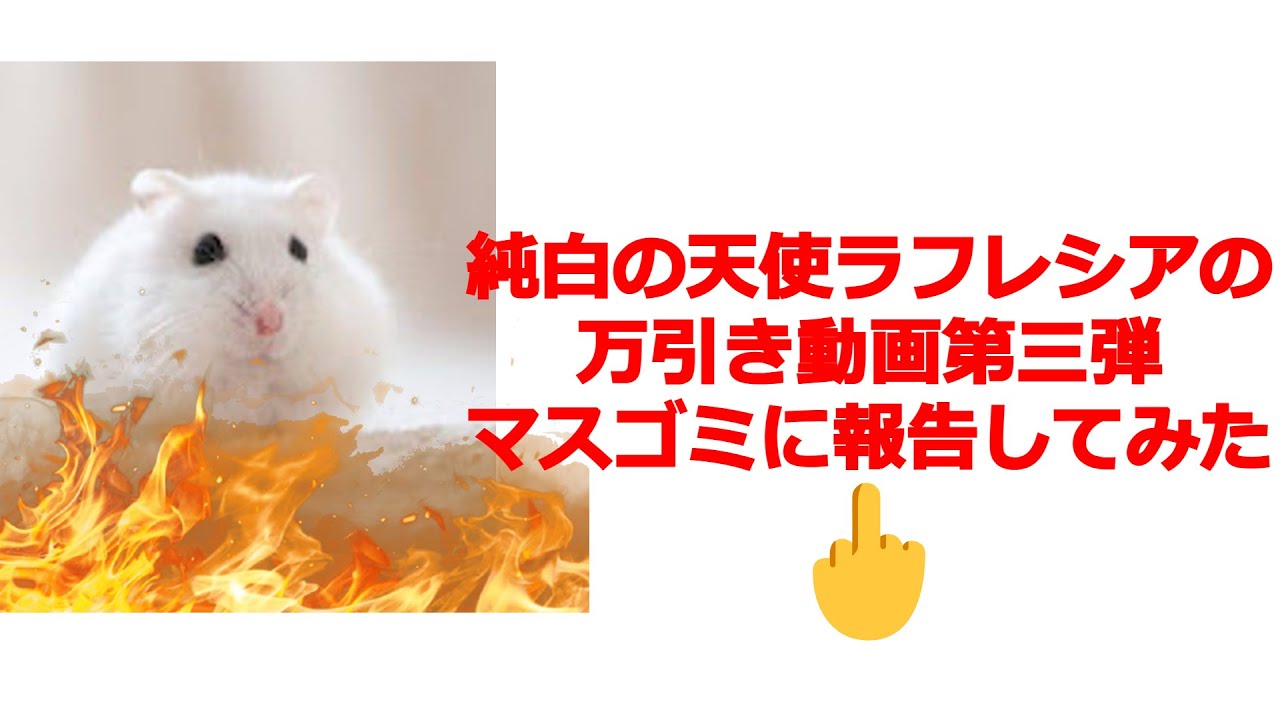 【善行】純白の天使ラフレシアの万引き動画第三弾マスゴミに情報提供してみた。