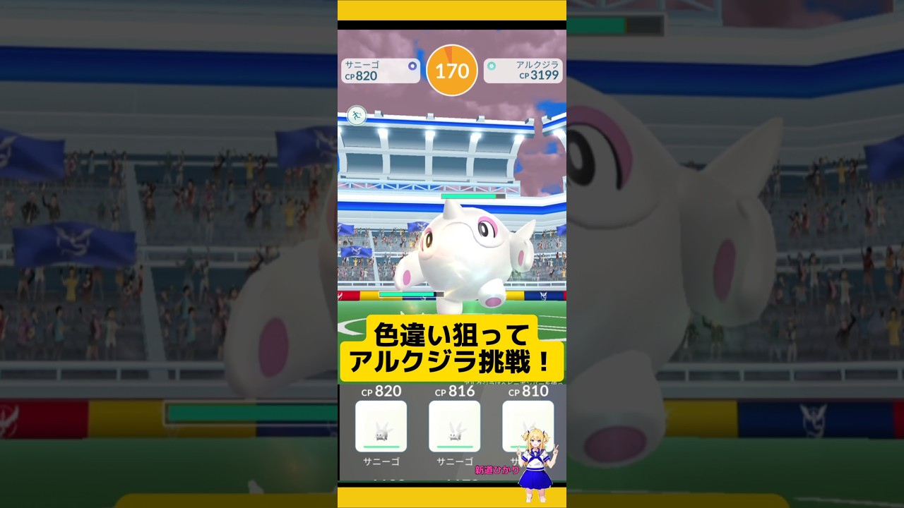 ガラルサニーゴのみでアルクジラレイド挑戦！色違い欲しい〜#ポケモンgo #アルクジラ#レイド #サニーゴ #pokemongo #新道ひかり