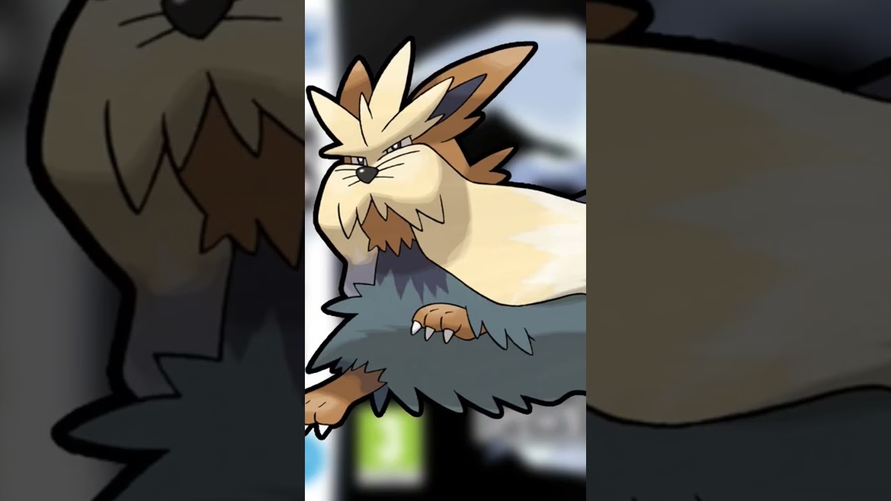 508 - Mastouffe - Pokémon Noir #Pokémon  #Pokédex #AttrapezLesTous #ShinyHunting #PokémonLore
