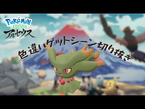 色違いのムウマに食い逃げされた（ムウマ）#short