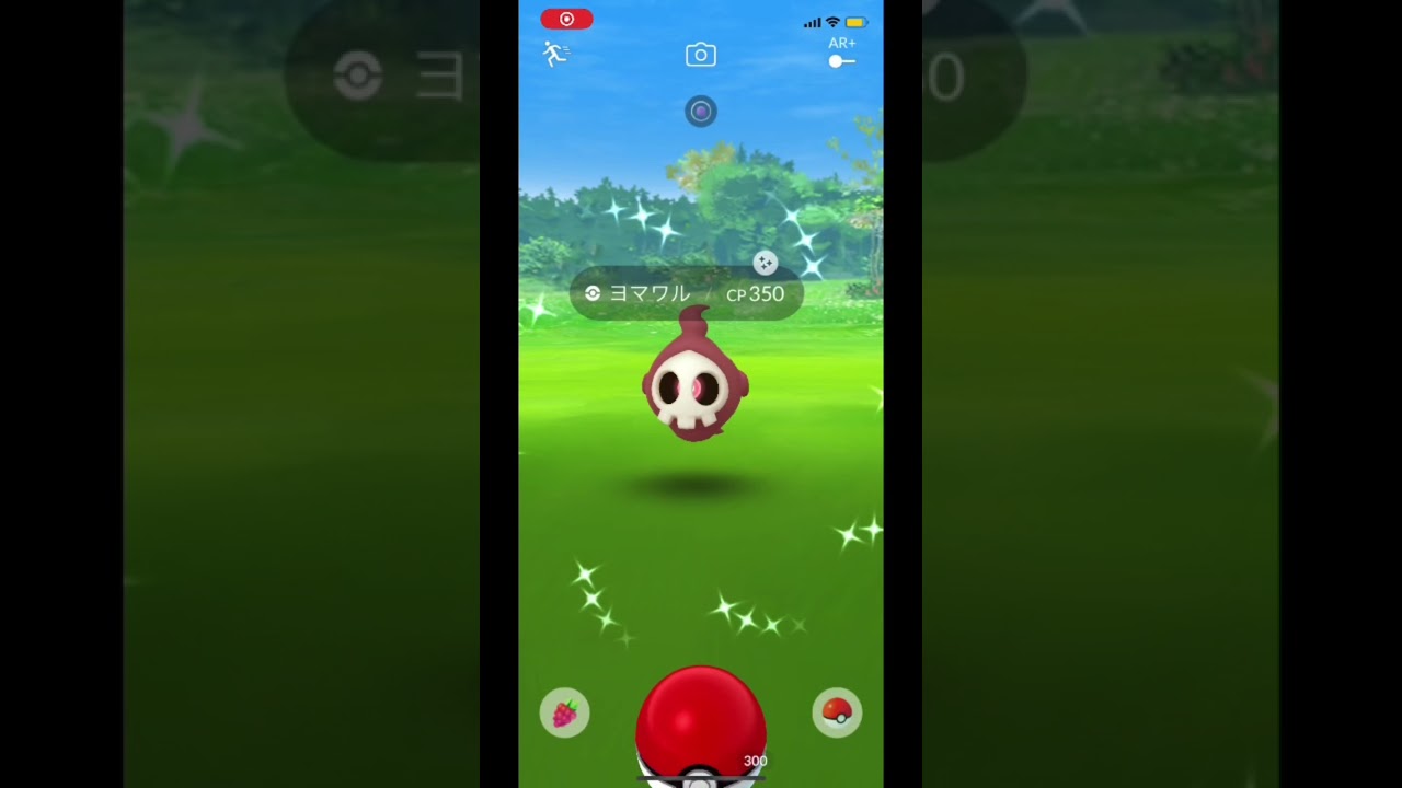 【色違いヨマワル】#shiny #shorts ＃Shorts #pokemongo #ヨマワル　#コミュニティデー　#色違い　#ポケモンgo #ヨマワルコミュニティデー