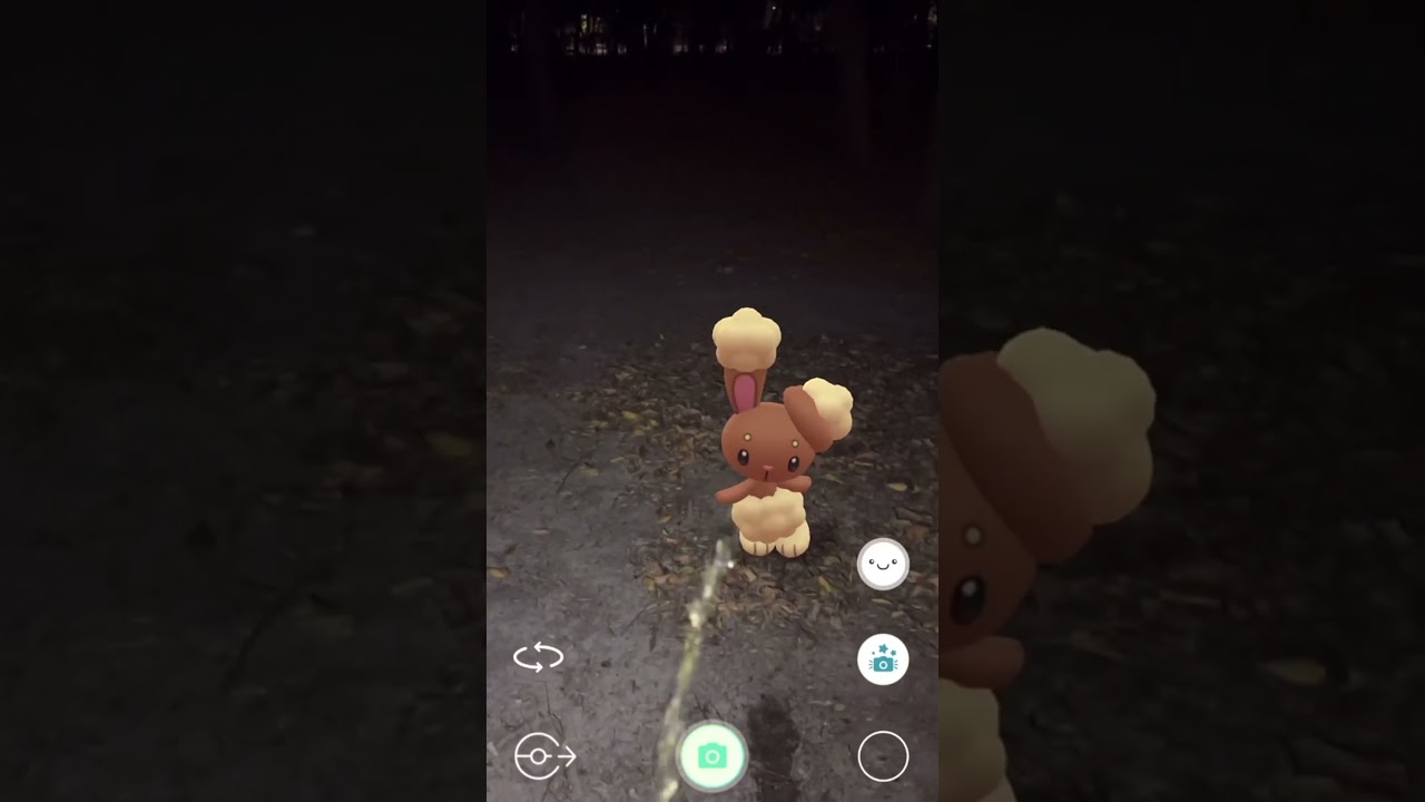 Haspiror WAS MACHST DU DA? #pokemon