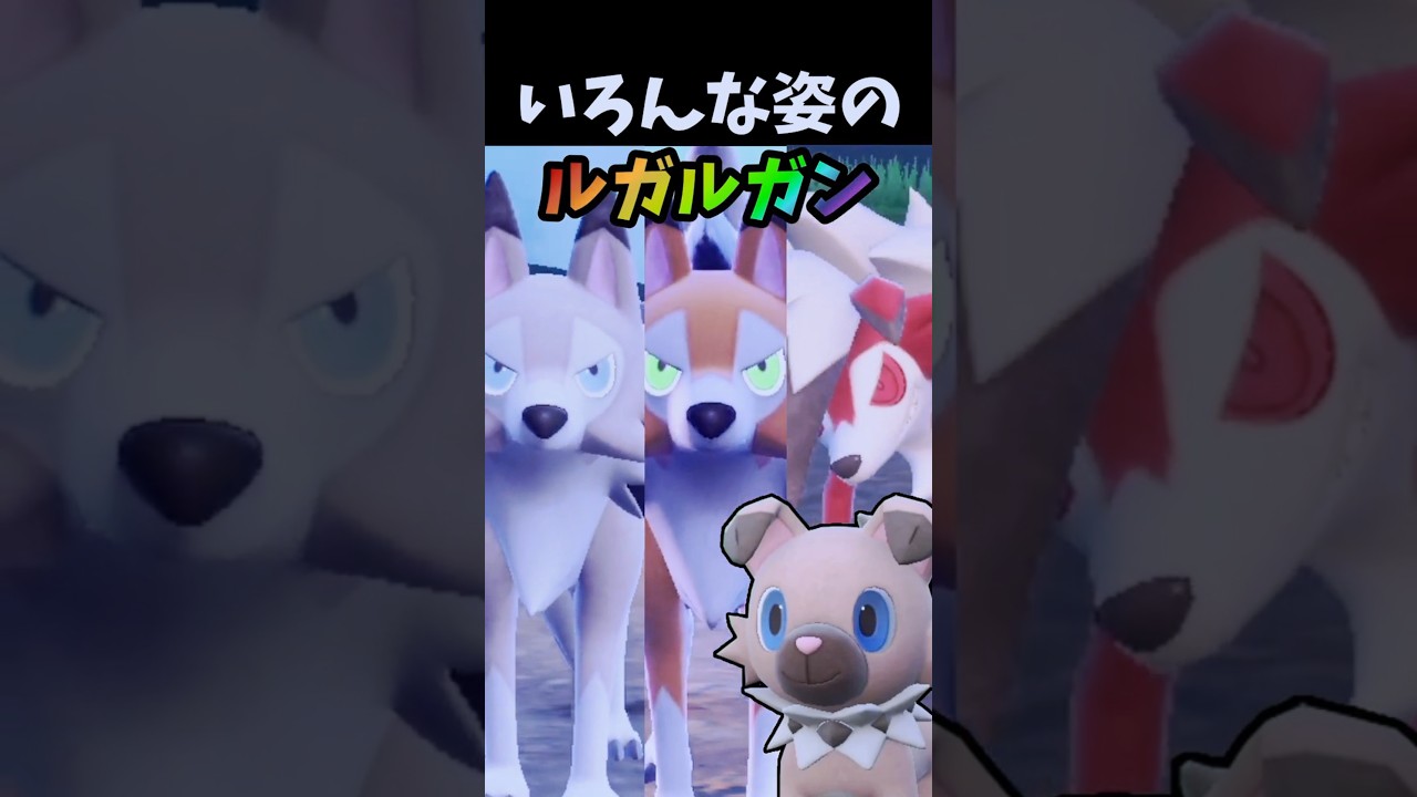 ルガルガンのすべての姿へ！やさしい進化ガイド✨【ポケモンSV】#shorts