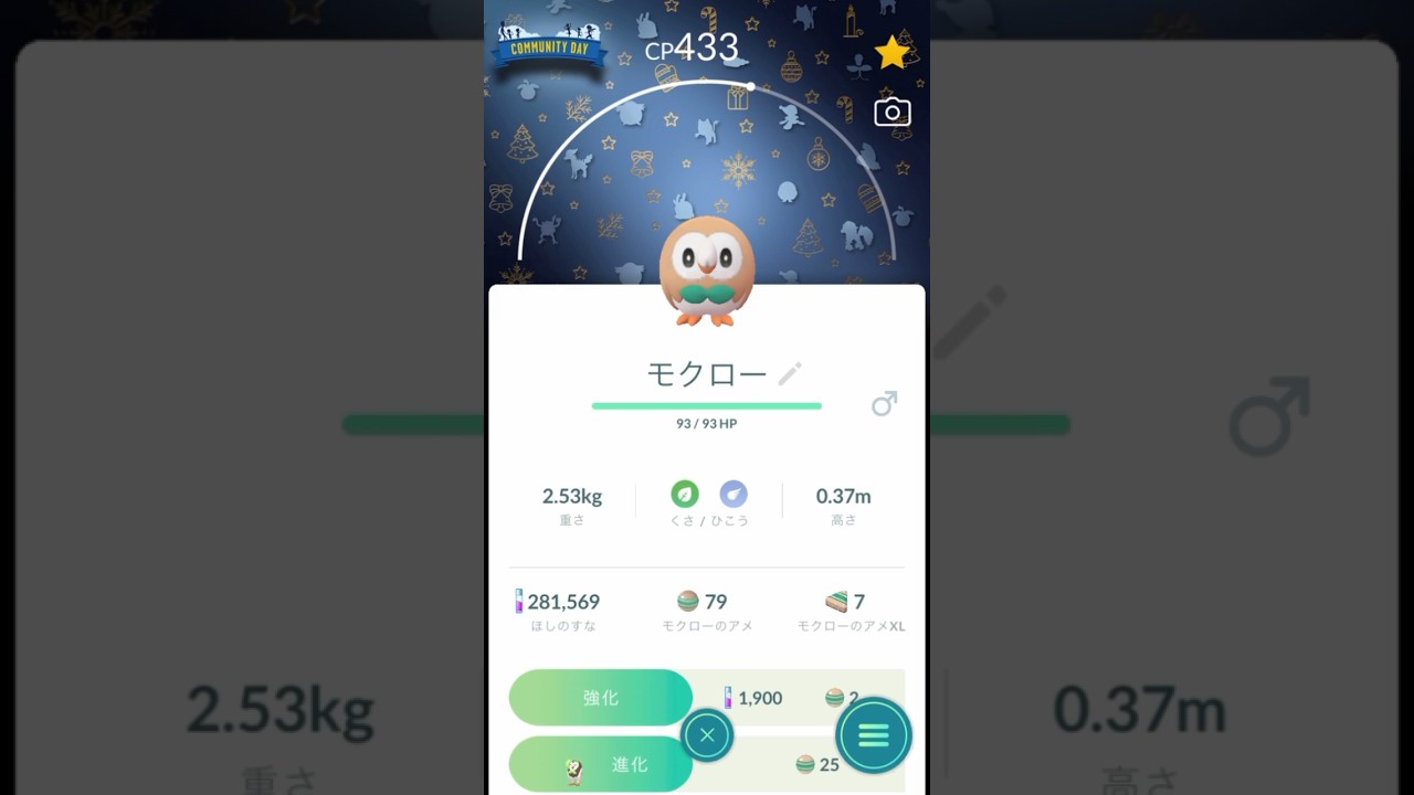 【 ポケモンgo 】2024Xmas背景モクローが可愛すぎて【 うさぴよの巣 】#pokemongo #pokemon #ポケットモンスター #クリスマス