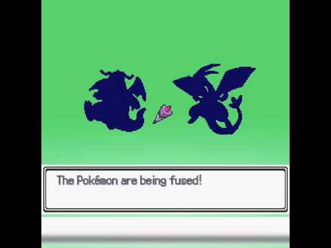 O DIA EM QUE EU FUNDI UM DRAGONITE COM UM FLYGON