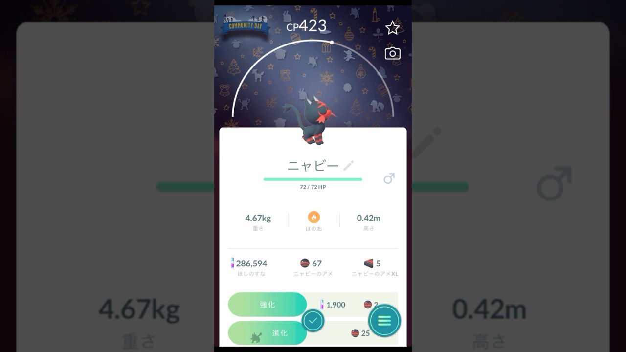 【 ポケモンgo 】2024Xmas背景ニャビー！ゲット画面もゲット！【 うさぴよの巣 】#pokemongo #pokemon #ポケットモンスター