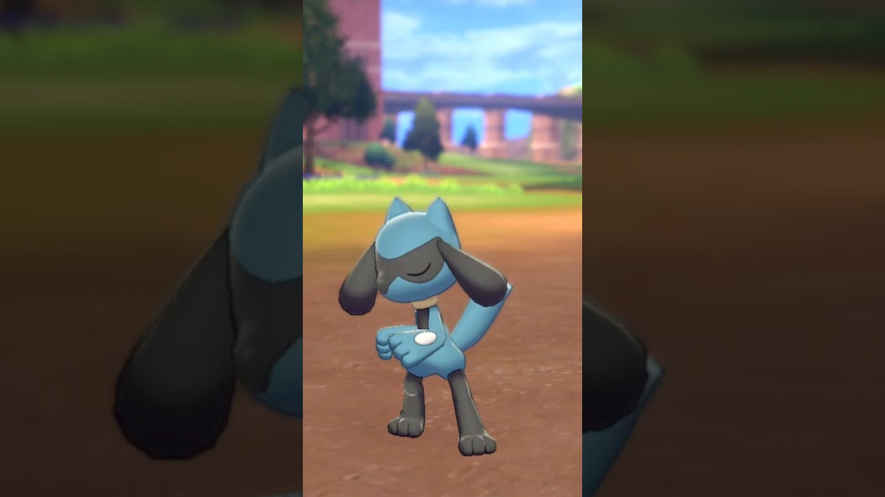 リオル Riolu【ポケモン剣盾】