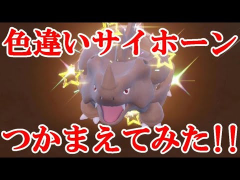 【ポケモンSV】色違いサイホーンつかまえてみた！！
