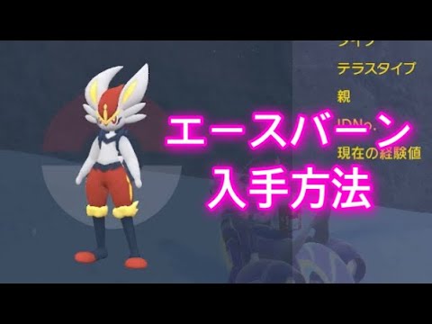 【ポケモンSV】【藍の円盤】エースバーン入手方法