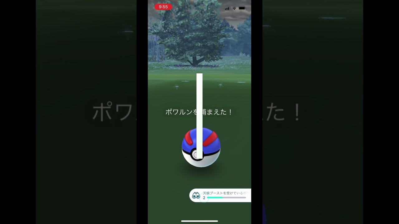 ポケモンgo 野生のポワルン　あまみずのすがた　ゲットチャレンジ　#pokemongo