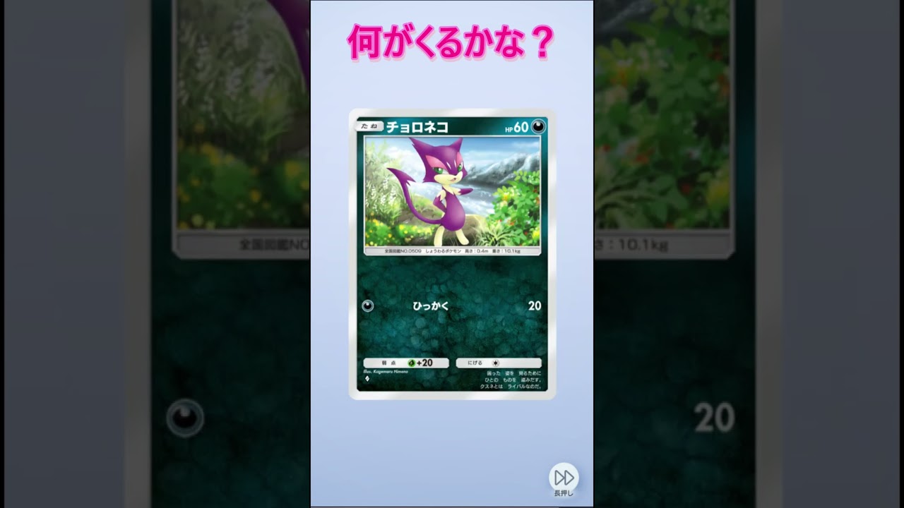 猫好きの人はチョロネコも好き？＃shorts#pokemon #pokemoncards