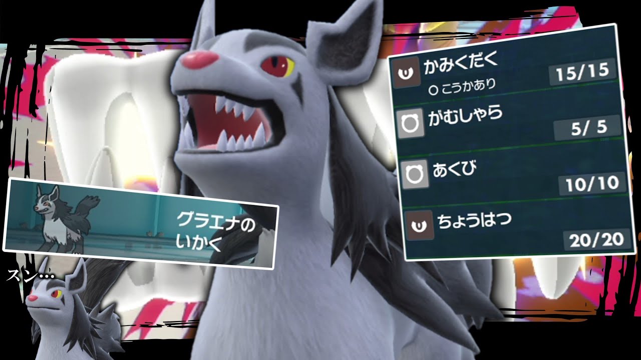 あくタイプ最弱…？「グラエナ」を使うなら今しかない…！！【ゆっくり実況】【ポケモンSV】