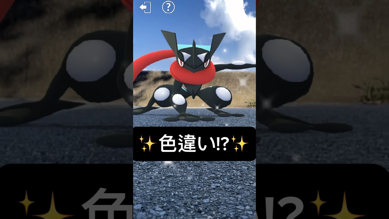 【ポケモンGO】色違いゲッコウガが現れた!!【✨Shiny Greninja  Pokémon GO✨】