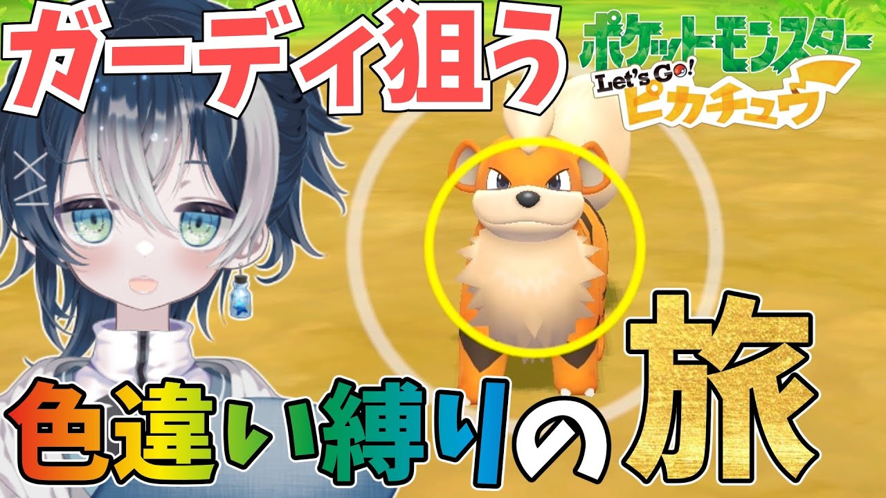 【色旅】ガーディの色違いを出してマチスを倒しに行くぞ！ ポケットモンスター Let's Go!ピカチュウ【#ピカブイ 】【#ポケモン 】【#vtuber 】#shorts
