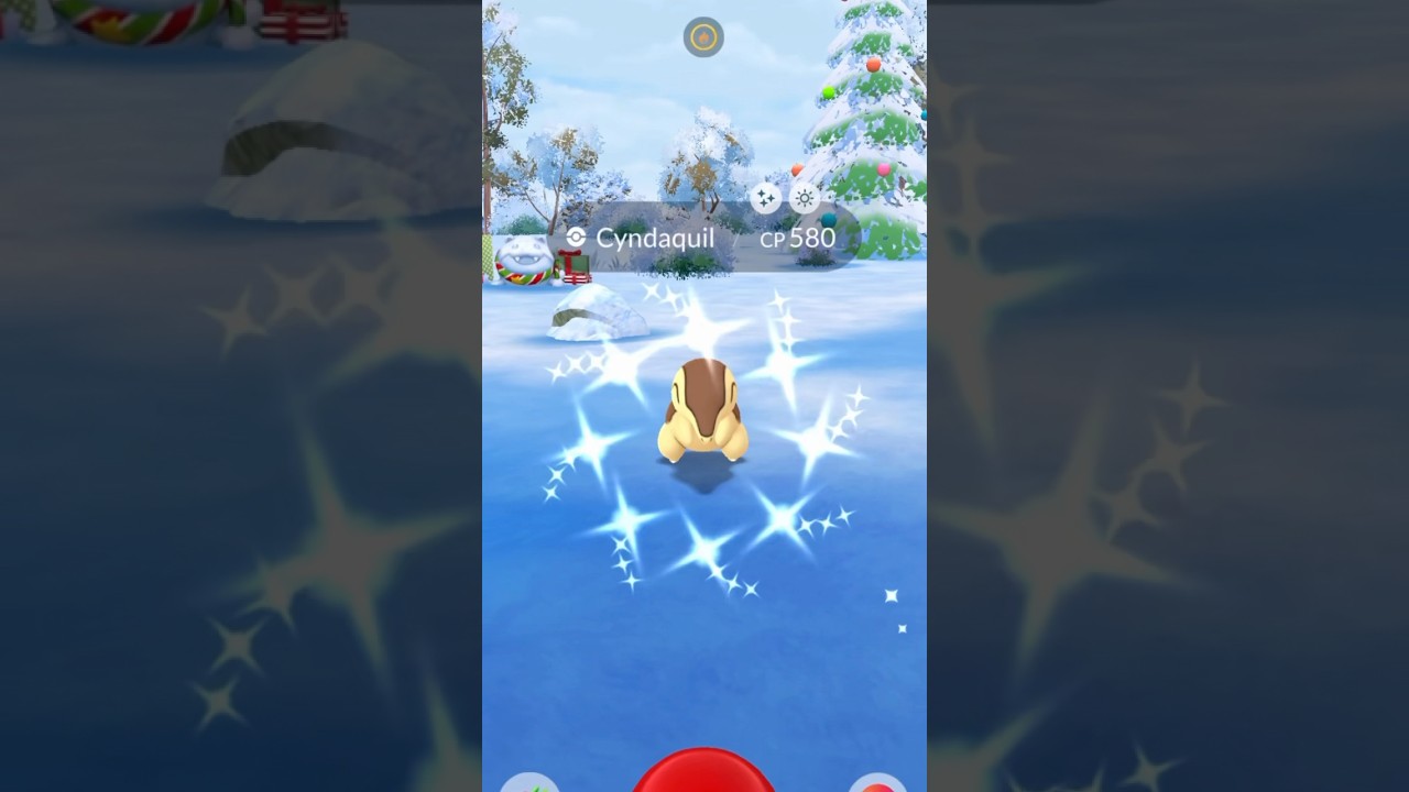 2024 Year Of The Cyndaquil Family! #pokemon #pokemongo #pokémon #shorts