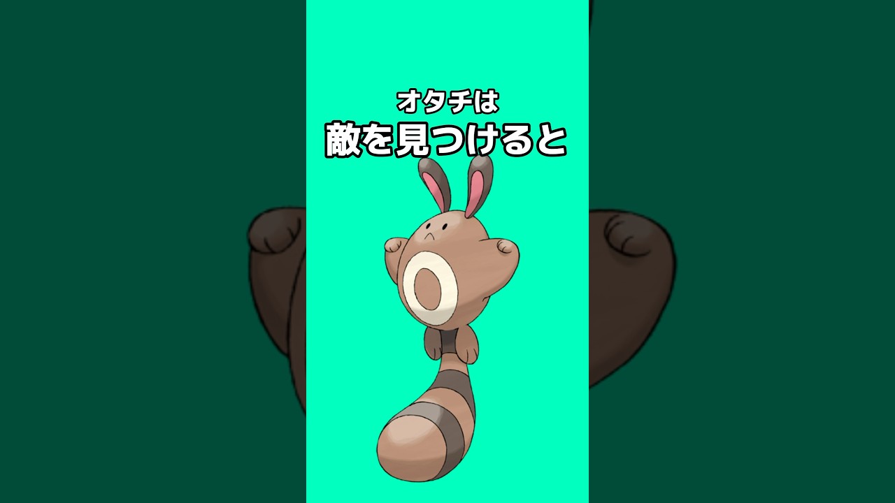 ポケモンの雑学3選Part162 #なぞはな #ポケモン #ポケモンカード #ポケモンオリジナルアニメ #ポケモンゲーム実況 #shorts #メタモン #ラフレシア #オタチ