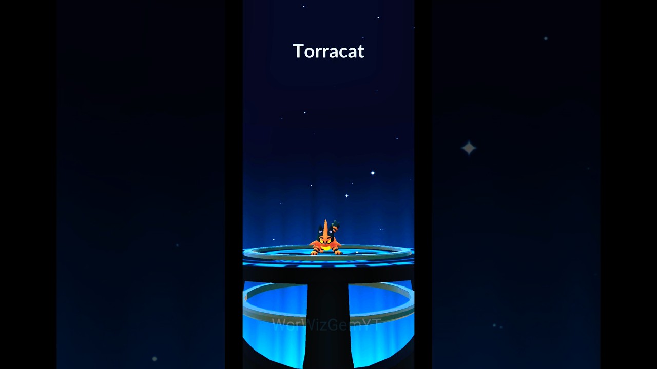 Litten Evolves into Torracat in Pokemon GO | Shorts