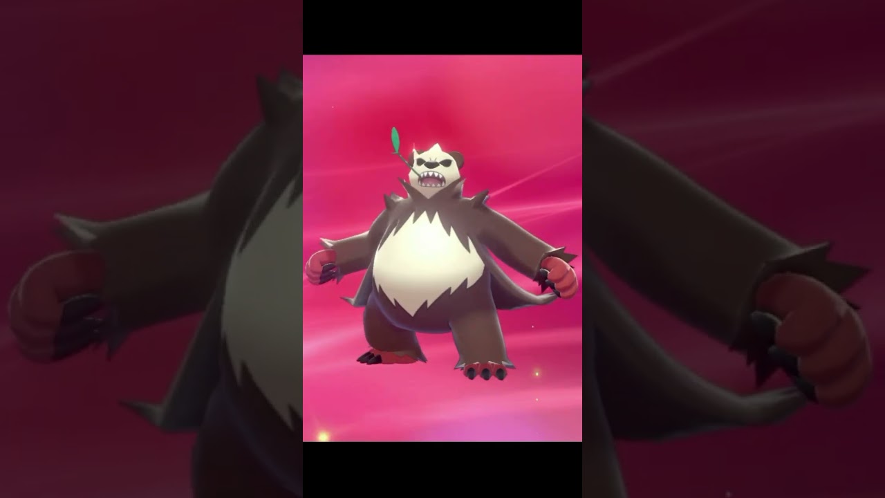 This Shiny Panda Needs Anger Management (Pokémon Evolution)