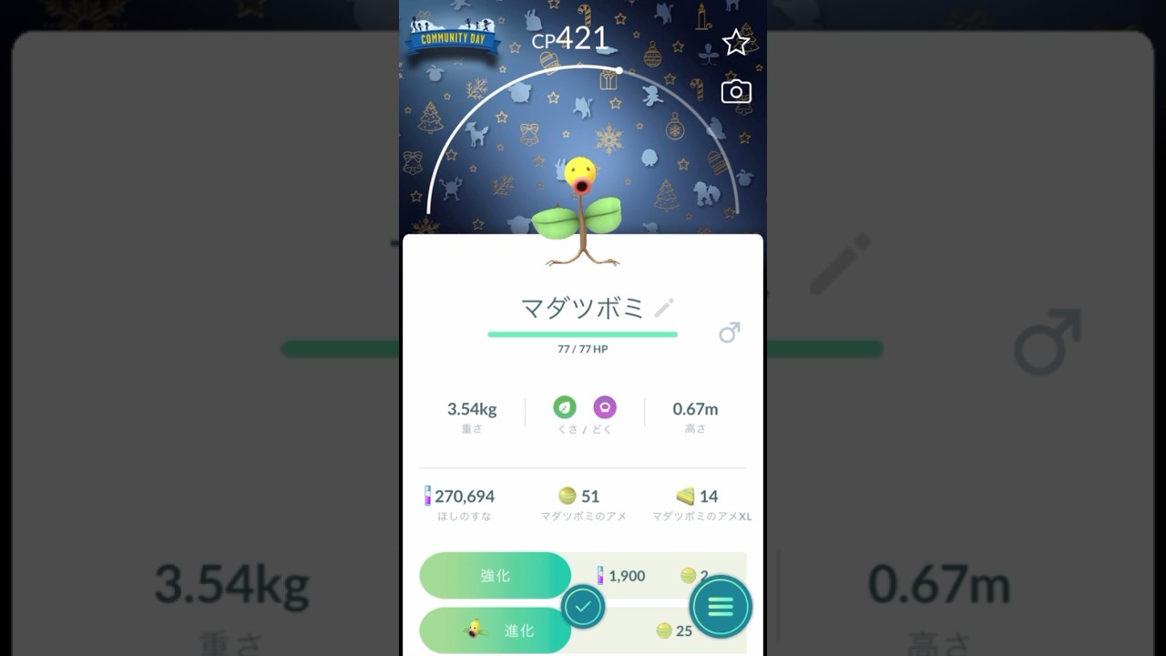 【 ポケモンgo 】2024Xmas背景マダツボミ ！イブでもマダツボミ！【 うさぴよの巣 】#pokemongo #pokemon #ポケットモンスター