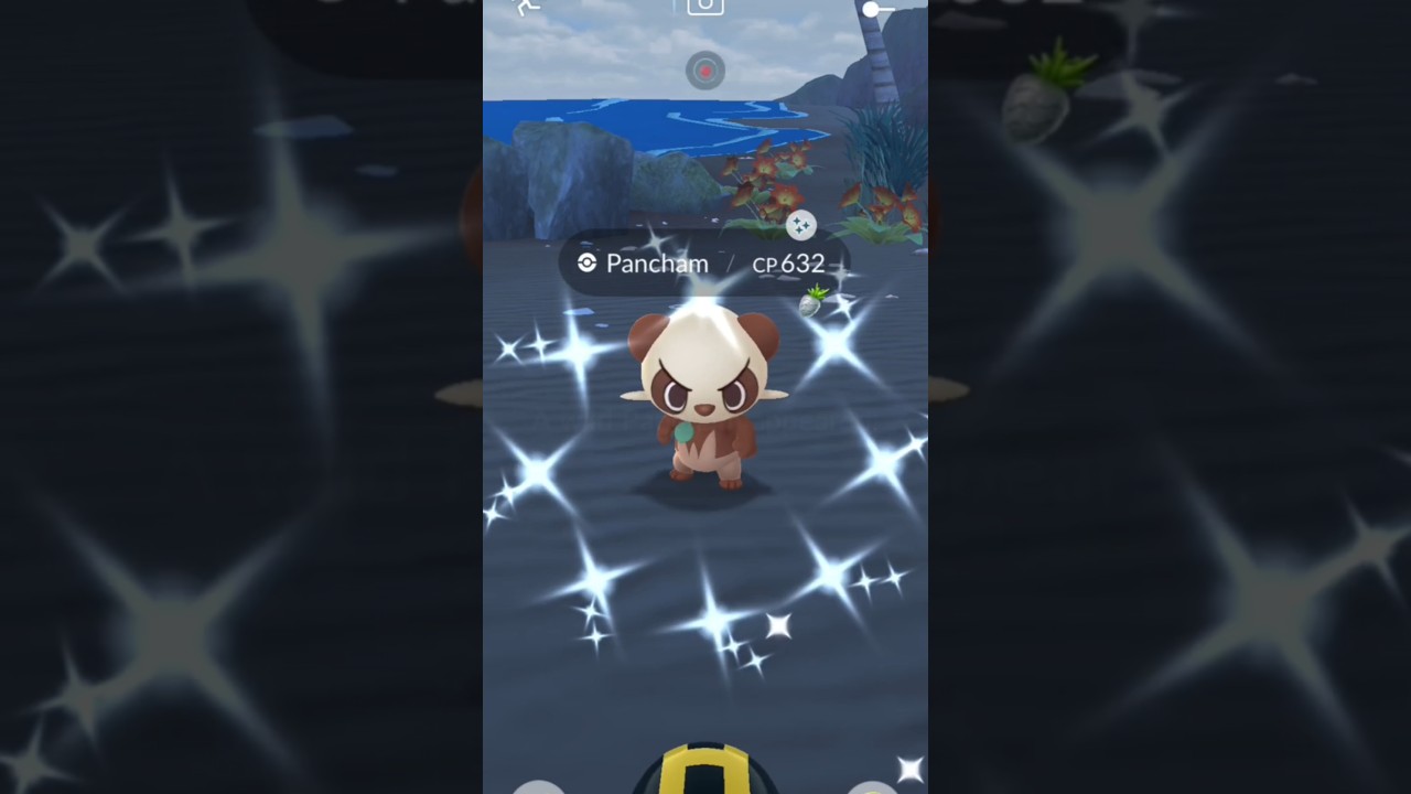 Shiny Pancham ✨ - @pokemongo #pokemon #pokemongo #shinypokemon #ポケモン #ポケモンgo