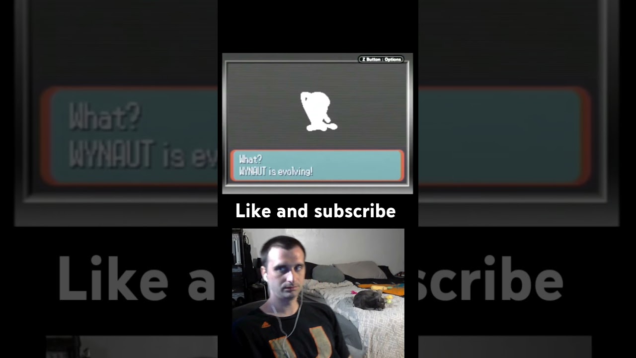 Wynaut evolves to wobbuffet #pokemon #gaming #nintendo