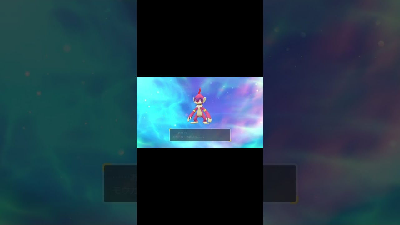 【ポケモンSV】色違いヒコザル → モウカザル → ゴウカザル【ポケットモンスタースカーレットバイオレット】 #pokemon #ポケモンsv #色違い #ポケットモンスター