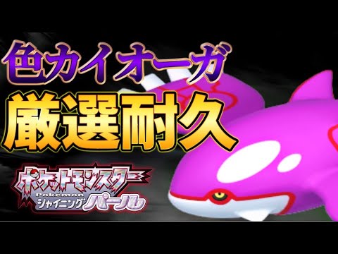 『色厳選』クリスマスでも色厳選の配信者がカイオーガ色違い目指して 1日目雑談歓迎！『ダイパリメイク』