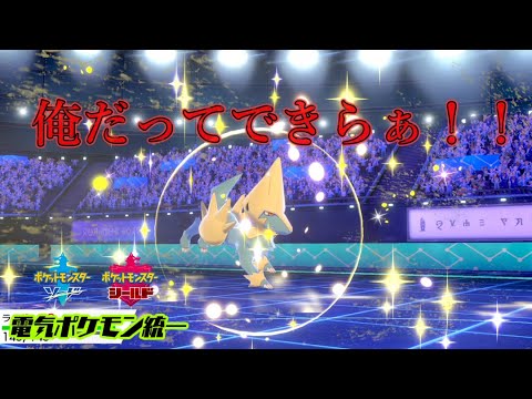【ポケモン剣盾】いまいちパッとしないライボルトを活躍させたい【電気統一】
