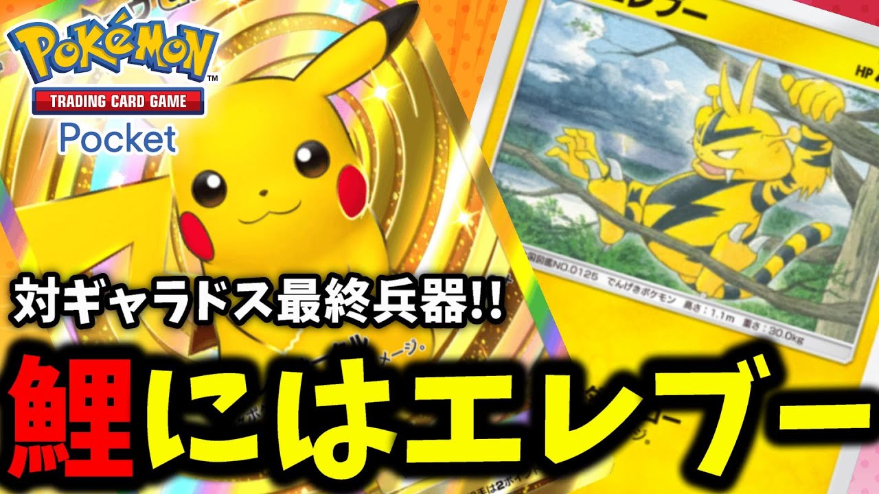 【ポケポケ】対ギャラドス最終兵器!!『それなりのエレブー』ギャラドスデッキ相手には猛威を振るうぜ!!【Pokémon Trading Card Game Pocket】