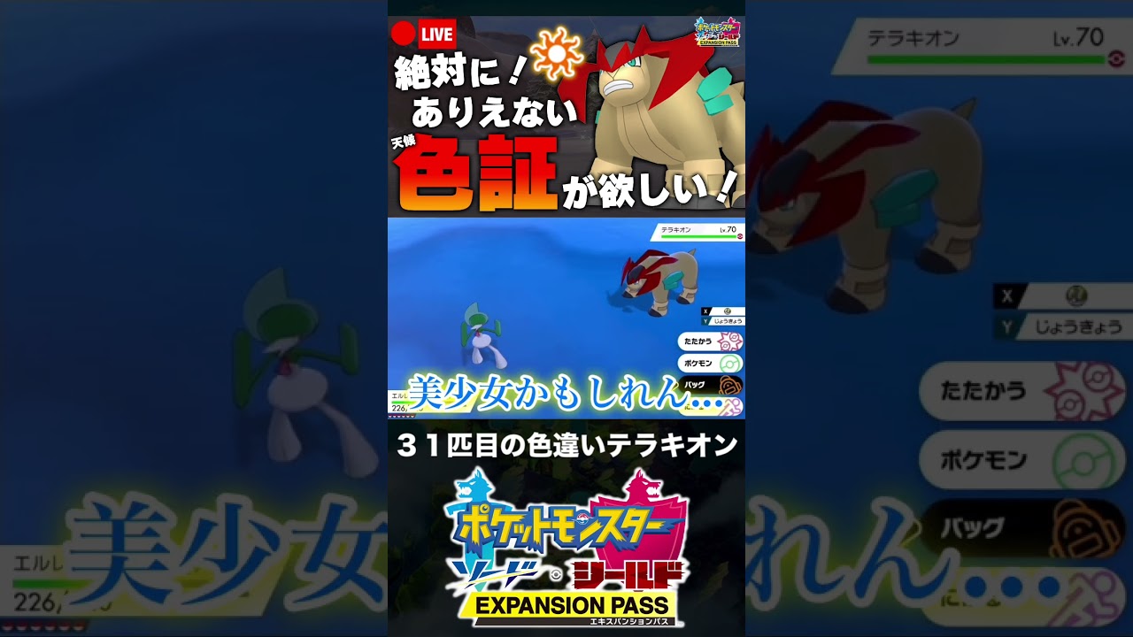 31匹目の色違いテラキオンと邂逅した男【ポケモン剣盾】
