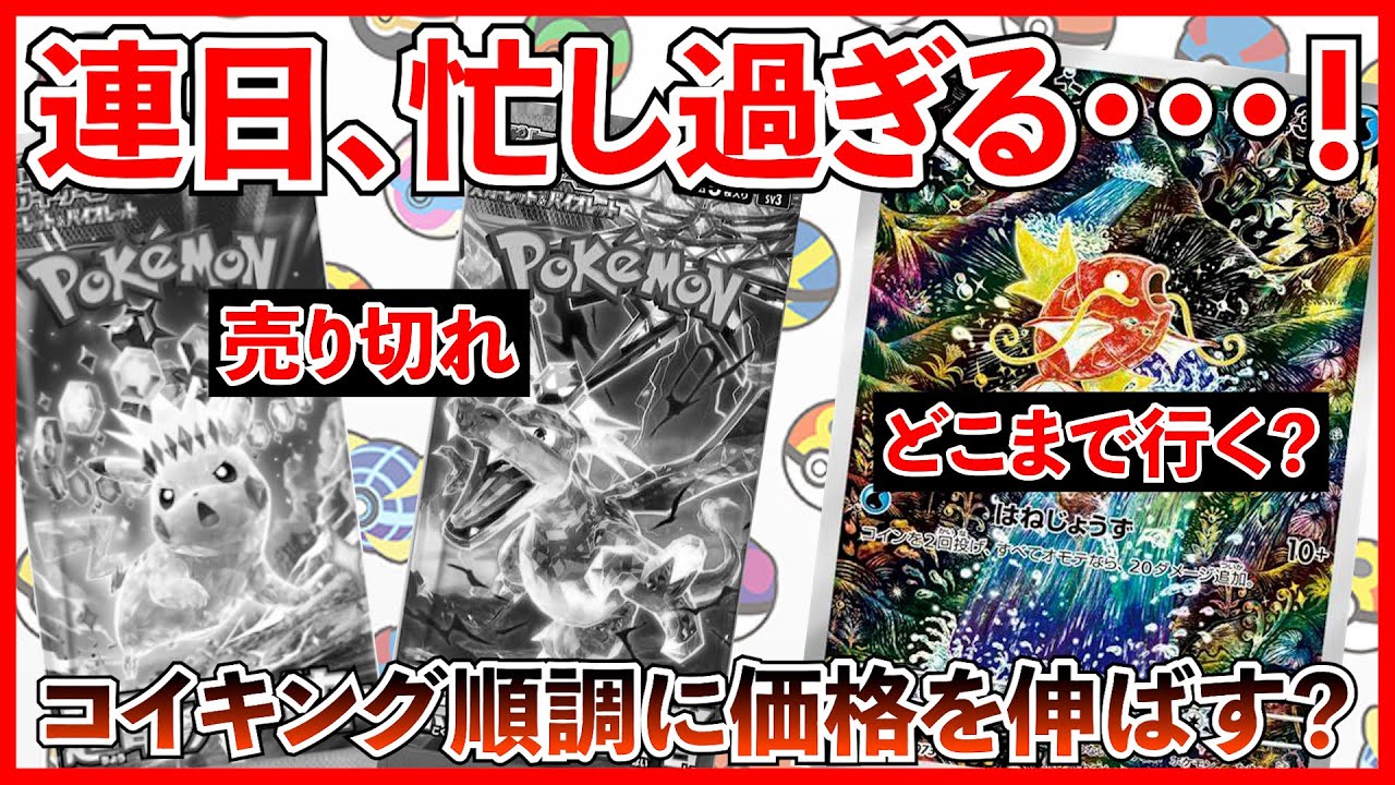 【ポケカ投資】連日忙し過ぎる・・・！そして、コイキングはどこまで上がる・・・？【ポケカ】【ポケカ投資】【テラスタルフェス】【バトルパートナーズ】【コイキング】【再販】