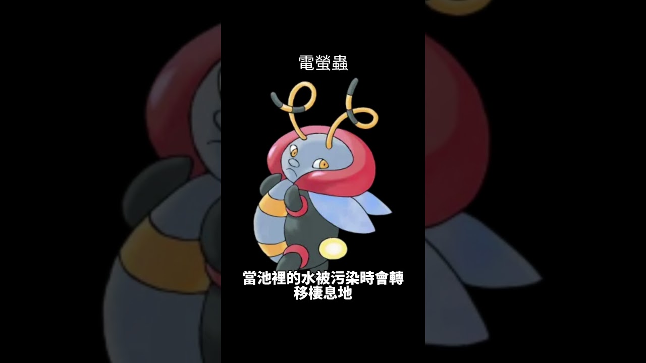 寶可夢圖鑑 #pokemon No.0313 電螢蟲 バルビート Volbeat #0313 #寶可夢卡牌 #pokemongo #寶可夢 #shorts #神奇寶貝 #寶可夢紅寶石藍寶石 #第三世代