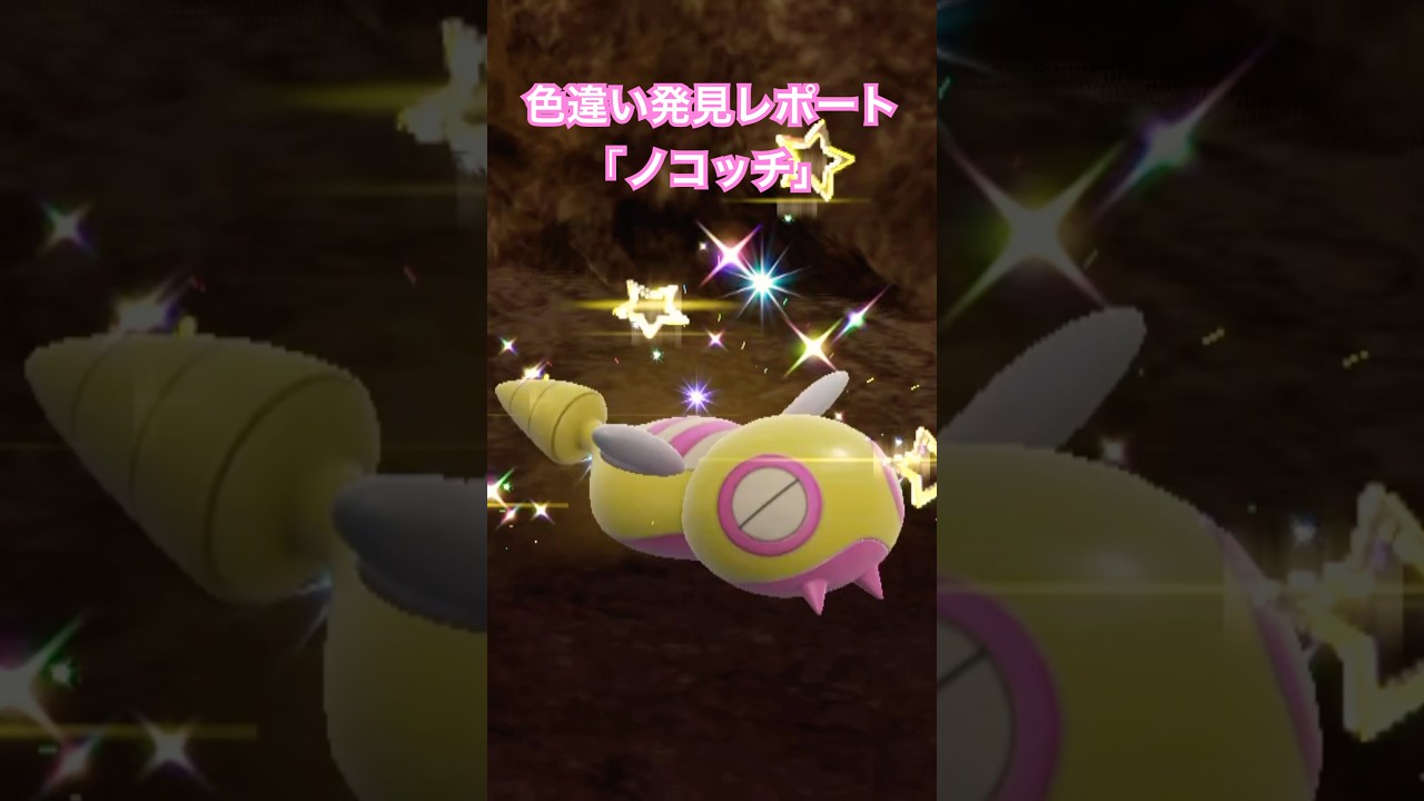 ポケモンSV 色違い発見レポート「ノコッチ」 #ポケモンsv #色違いポケモン