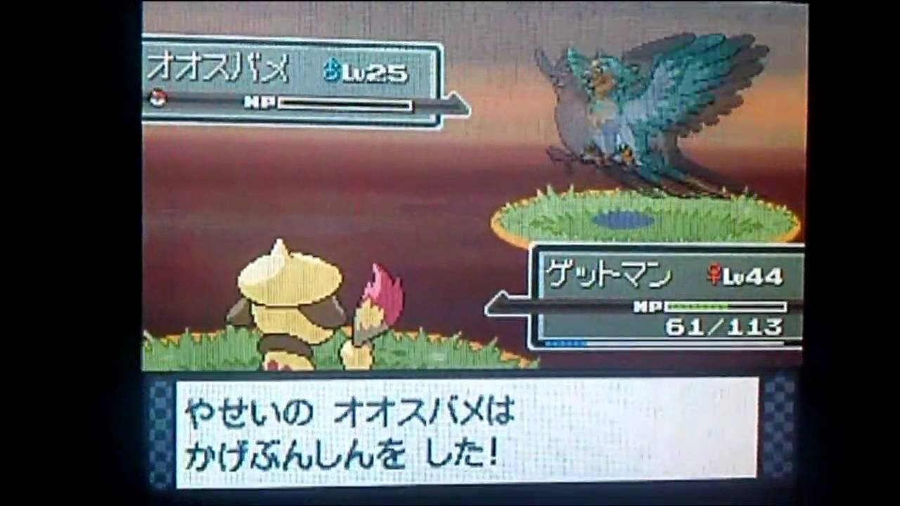 02 ポケトレで色違いオオスバメをゲット　（プラチナ）